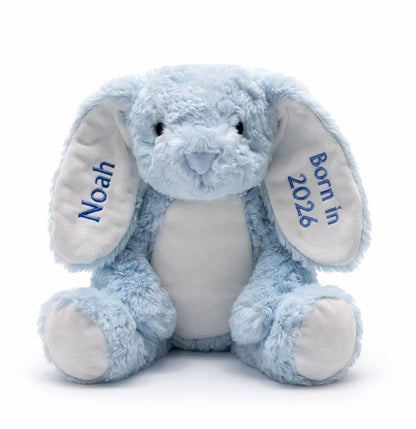 Personalised Teddy Bear with Name for Babies